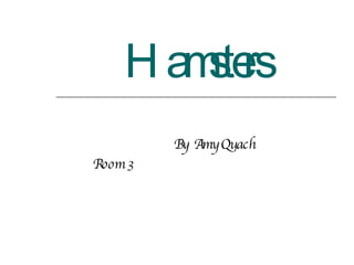 Hamsters By  Amy Quach  Room 3  