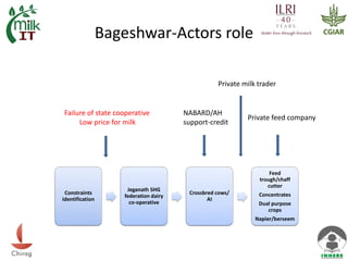 Innovation Platforms as a tool for smallholder dairy development: A case from Uttarakhand, India