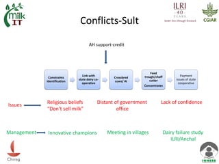 Innovation Platforms as a tool for smallholder dairy development: A case from Uttarakhand, India