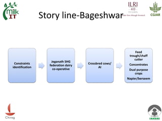 Innovation Platforms as a tool for smallholder dairy development: A case from Uttarakhand, India