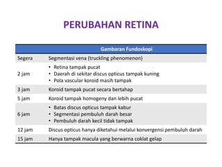 PERUBAHAN RETINA
Gambaran Fundoskopi
Segera Segmentasi vena (truckling phenomenon)
2 jam
• Retina tampak pucat
• Daerah di sekitar discus opticus tampak kuning
• Pola vascular koroid masih tampak
3 jam Koroid tampak pucat secara bertahap
5 jam Koroid tampak homogeny dan lebih pucat
6 jam
• Batas discus opticus tampak kabur
• Segmentasi pembuluh darah besar
• Pembuluh darah kecil tidak tampak
12 jam Discus opticus hanya diketahui melalui konvergensi pembuluh darah
15 jam Hanya tampak macula yang berwarna coklat gelap
 