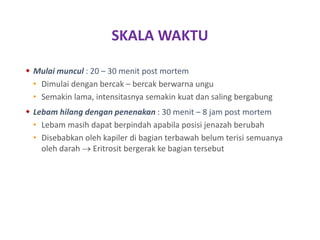 SKALA WAKTU
 Mulai muncul : 20 – 30 menit post mortem
• Dimulai dengan bercak – bercak berwarna ungu
• Semakin lama, intensitasnya semakin kuat dan saling bergabung
 Lebam hilang dengan penenakan : 30 menit – 8 jam post mortem
• Lebam masih dapat berpindah apabila posisi jenazah berubah
• Disebabkan oleh kapiler di bagian terbawah belum terisi semuanya
oleh darah  Eritrosit bergerak ke bagian tersebut
 