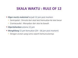 SKALA WAKTU : RULE OF 12
 Rigor mortis maksimal terjadi 12 jam post mortem
• Sentripetal : Dimulai dari otot kecil kemudian ke otot besar
• Craniocaudal : Menyebar dari atas ke bawah
 Dipertahankan selama 12 jam
 Menghilang 12 jam kemudian (24 – 36 jam post mortem)
• Dengan urutan yang sama seperti kemunculannya
 