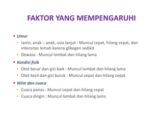 FAKTOR YANG MEMPENGARUHI
 Umur
• Janin, anak – anak, usia lanjut : Muncul cepat, hilang cepat, dan
intensitas lemah karena glikogen sedikit
• Dewasa : Muncul lambat dan hilang lama
 Kondisi fisik
• Otot besar dan gizi baik : Muncul lambat dan hilang lama
• Otot kecil dan gizi buruk : Muncul cepat dan hilang cepat
 Iklim dan cuaca
• Cuaca panas : Muncul cepat dan hilang cepat
• Cuaca dingin : Muncul lambat dan hilang lama
 