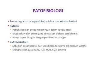 PATOFISIOLOGI
 Proses degradasi jaringan akibat autolisis dan aktivitas bakteri
 Autolisis
• Perlunakan dan pencairan jaringan dalam kondisi steril
• Disebabkan oleh enzim yang dilepaskan oleh sel setelah mati
• Hanya dapat dicegah dengan pembekuan jaringan
 Aktivitas bakteri
• Sebagian besar berasal dari usus besar, terutama Clostridium welchii
• Menghasilkan gas alkane, H2S, HCN, CO2, amonia
 