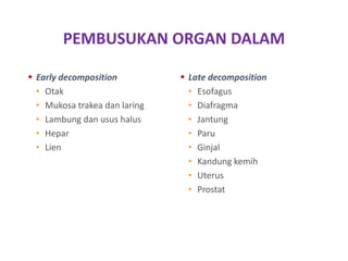 PEMBUSUKAN ORGAN DALAM
 Early decomposition
• Otak
• Mukosa trakea dan laring
• Lambung dan usus halus
• Hepar
• Lien
 Late decomposition
• Esofagus
• Diafragma
• Jantung
• Paru
• Ginjal
• Kandung kemih
• Uterus
• Prostat
 
