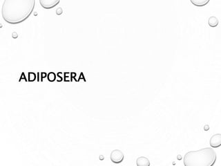 ADIPOSERA
 