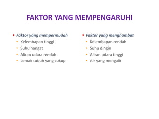 FAKTOR YANG MEMPENGARUHI
 Faktor yang mempermudah
• Kelembapan tinggi
• Suhu hangat
• Aliran udara rendah
• Lemak tubuh yang cukup
 Faktor yang menghambat
• Kelembapan rendah
• Suhu dingin
• Aliran udara tinggi
• Air yang mengalir
 