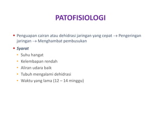 PATOFISIOLOGI
 Penguapan cairan atau dehidrasi jaringan yang cepat  Pengeringan
jaringan  Menghambat pembusukan
 Syarat
• Suhu hangat
• Kelembapan rendah
• Aliran udara baik
• Tubuh mengalami dehidrasi
• Waktu yang lama (12 – 14 minggu)
 