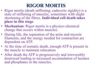 Thanatology & Post-Mortem Changes forensic medicine and toxicology | PDF