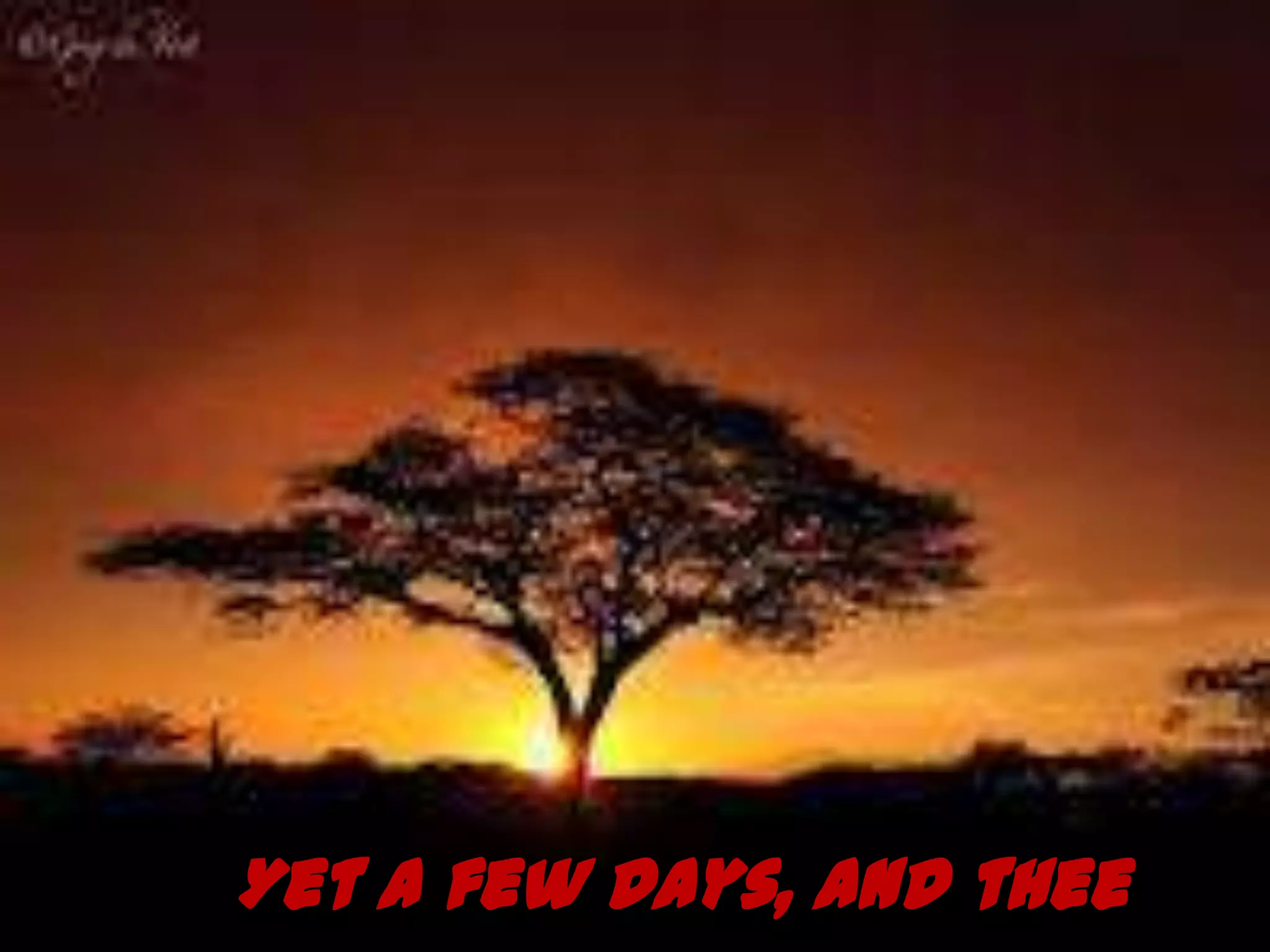 Yet a few days, and thee
 