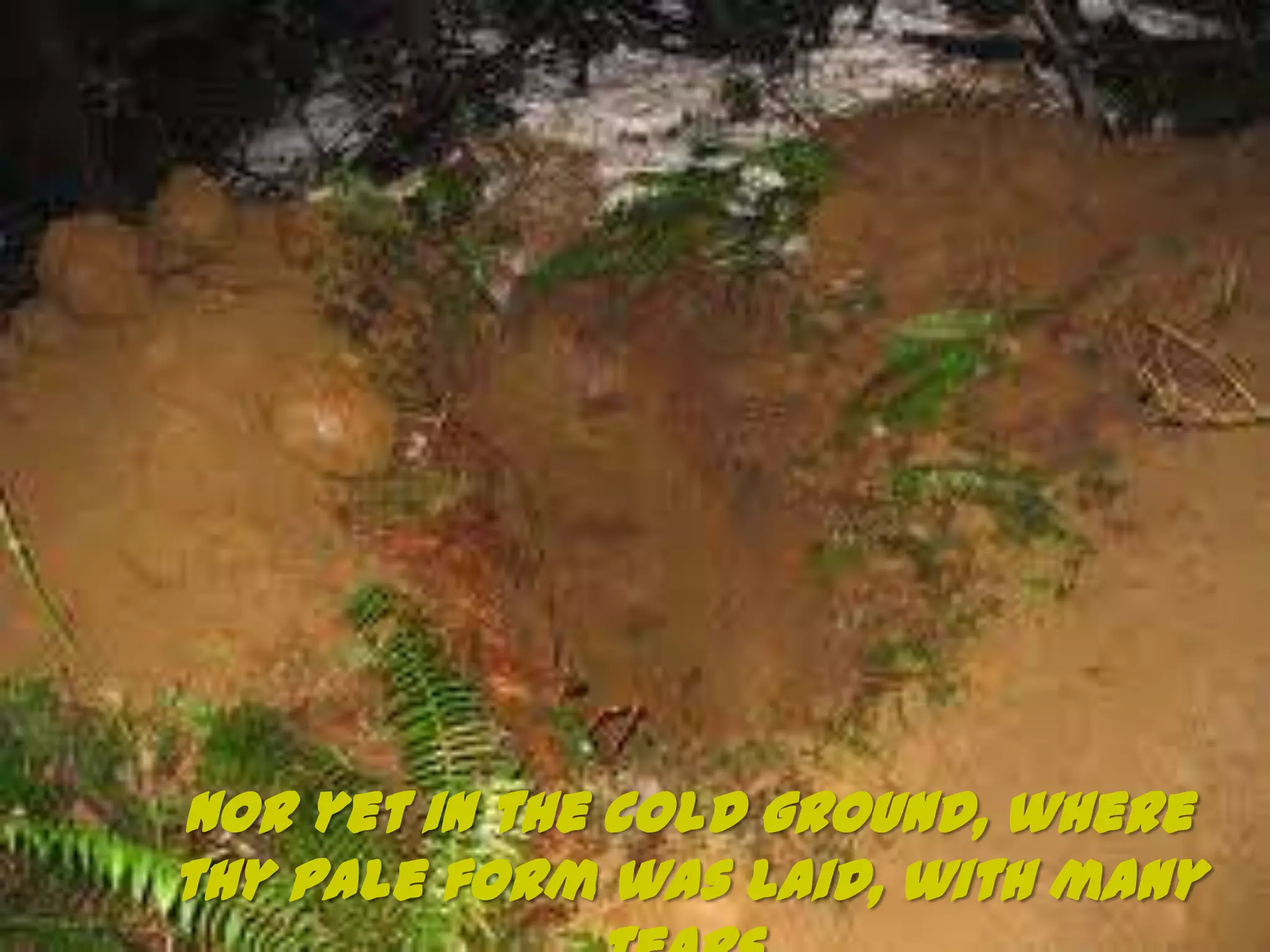 Nor yet in the cold ground, where
thy pale form was laid, with many
 