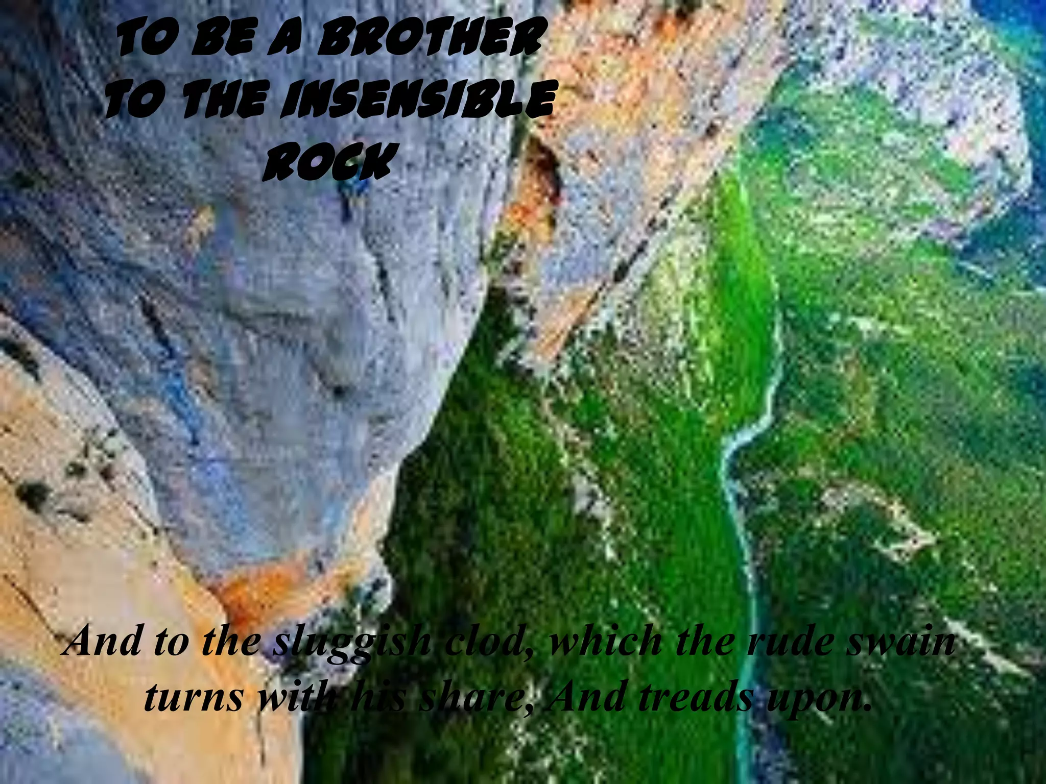 To be a brother
 to the insensible
       rock




And to the sluggish clod, which the rude swain
   turns with his share, And treads upon.
 