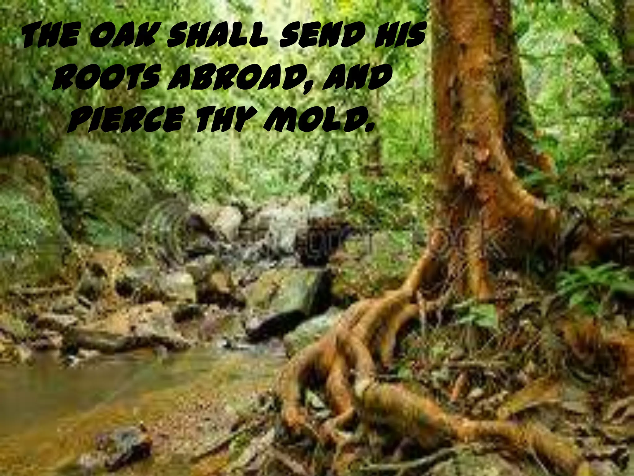 The oak shall send his
  roots abroad, and
   pierce thy mold.
 