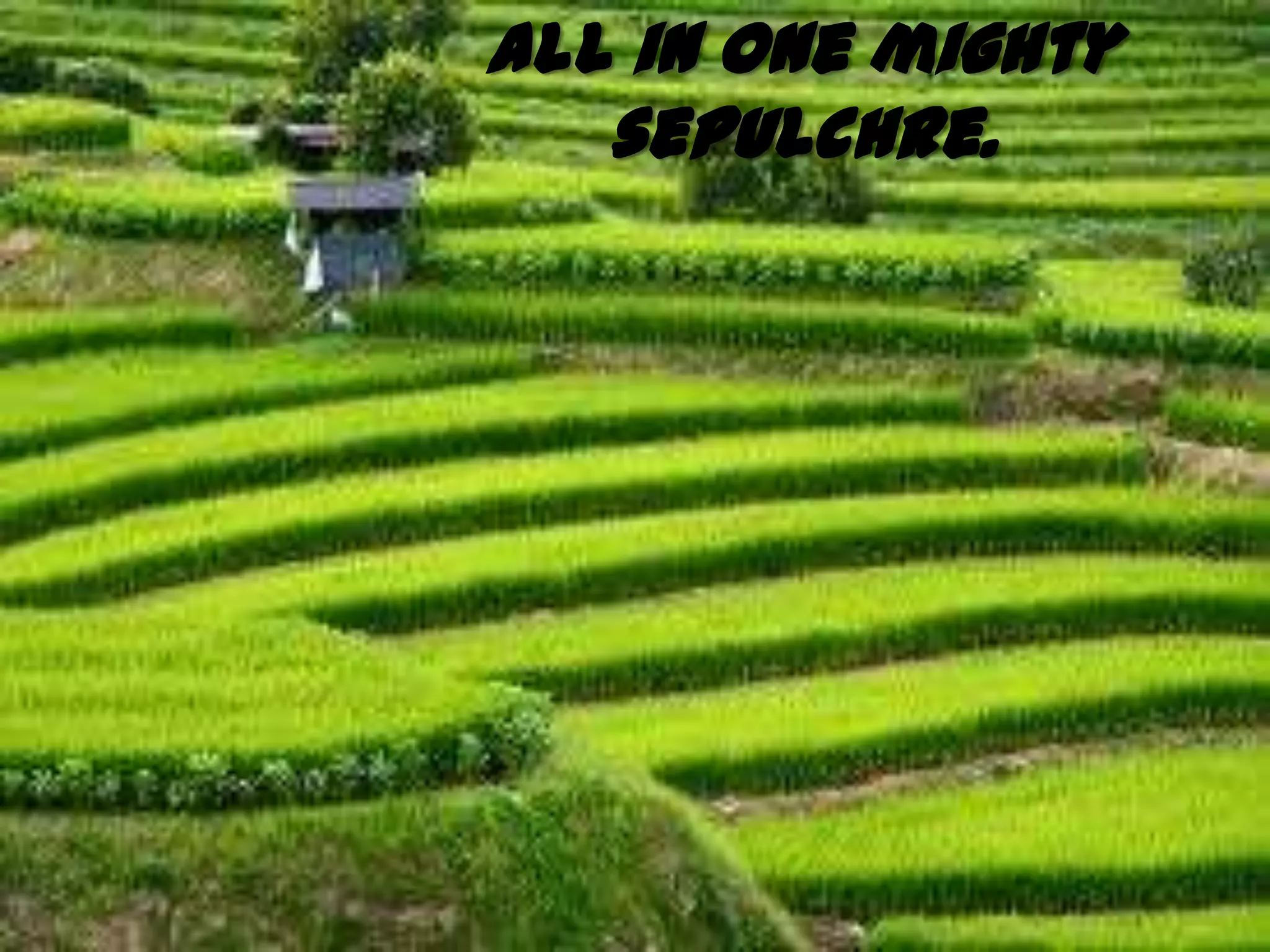 All in one mighty
   sepulchre.
 