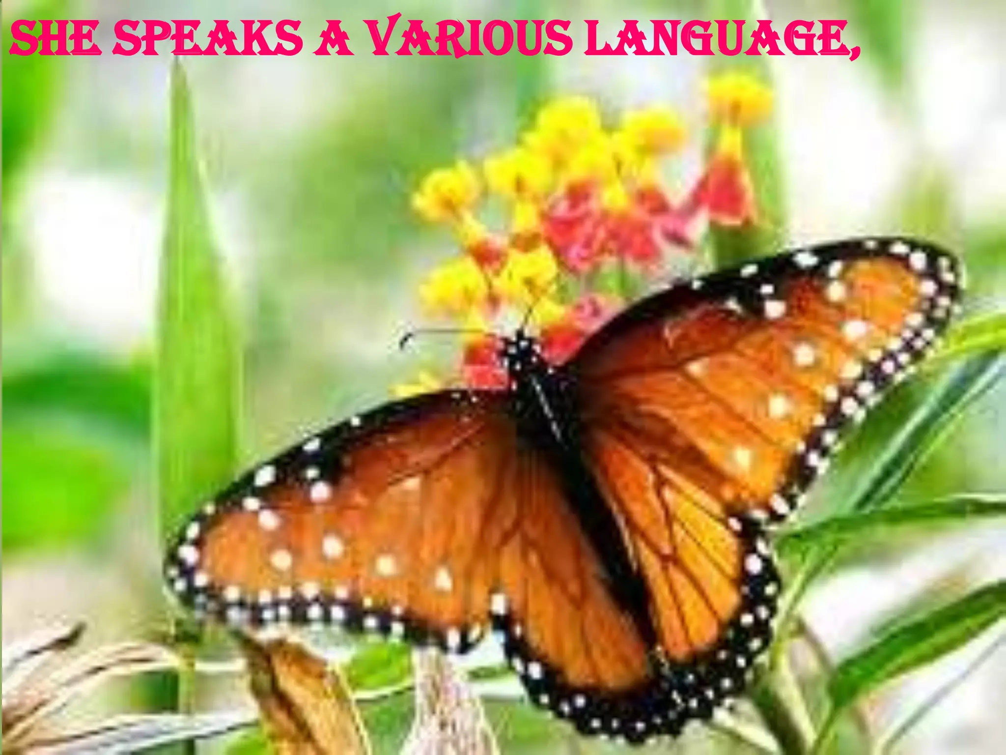 She speaks a various language,
 