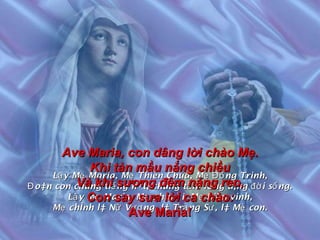 Lậy Mẹ Maria, Mẹ Thiên Chúa, Mẹ Đồng Trinh, Đoàn con chung tiếng hát, chung tấm lòng dâng đời sống. Lậy Mẹ Maria, Mẹ nhân ái, Mẹ hiển vinh, Mẹ chính là Nữ Vương, là Trạng Sư, là Mẹ con. Ave Maria, con dâng lời chào Mẹ. Khi tàn mầu nắng chiều Và khi sương đêm nặng reo, Con say sưa lời ca chào: Ave Maria! 