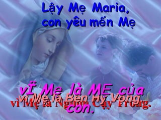 vì Mẹ là Nguồn Cậy Trông. vì Mẹ là Bến Hy Vọng. vì Mẹ là MẸ của con. Lậy Mẹ Maria, con yêu   mến Mẹ 