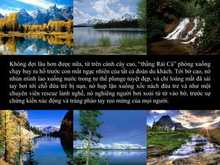 Không đợi lâu hơn được nữa, từ trên cành cây cao, “thằng Rái Cá” phóng xuống chạy bay ra hồ trước con mắt ngạc nhiên của tất cả đoàn du khách. Tới bờ cao, nó nhún mình lao xuống nước trong tư thế plunge tuyệt đẹp, và chỉ loáng mắt đã sải tay bơi tới chỗ đứa trẻ bị nạn, nó hụp lặn xuống xốc nách đứa trẻ và như một chuyên viên rescue lành nghề, nó nghiêng người bơi xoải từ từ vào bờ, trước sự chứng kiến xúc động và tràng pháo tay reo mừng của mọi người. 