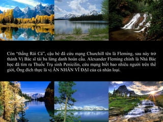 Còn “thằng Rái Cá”, cậu bé đã cứu mạng Churchill tên là Fleming, sau này trở thành Vị Bác sĩ tài ba lừng danh hoàn cầu. Alexander Fleming chính là Nhà Bác học đã tìm ra Thuốc Trụ sinh Penicilin, cứu mạng biết bao nhiêu người trên thế giới, Ông đích thực là vị ÂN NHÂN VĨ ĐẠI của cả nhân loại. 