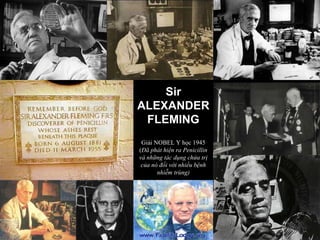 Sir ALEXANDER FLEMING Giải NOBEL Y học 1945 ( Đã phát hiện ra Penicillin và những tác dụng chửa trị của nó đối với nhiều bệnh nhiễm trùng) 