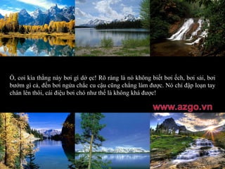 Ồ, coi kìa thằng này bơi gì dở ẹc! Rõ ràng là nó không biết bơi ếch, bơi sải, bơi bướm gì cả, đến bơi ngửa chắc cu cậu cũng chẳng làm được. Nó chỉ đập loạn tay chân lên thôi, cái điệu bơi chó như thế là không khá được! 