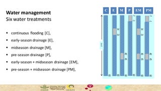 Thành, Phan Hữu - Climate Food and Farming CLIFF Network annual workshop November 2017