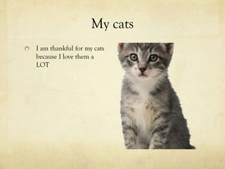 My cats
I am thankful for my cats
because I love them a
LOT