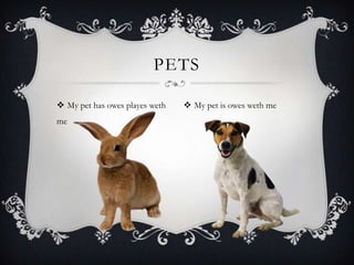  My pet has owes playes weth
me
PETS
 My pet is owes weth me
 