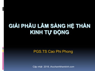 GIẢI PHẪU LÂM SÀNG HỆ THẦN
KINH TỰ ĐỘNG
PGS.TS Cao Phi Phong
Cập nhật 2018, thuchanhthankinh.com
 