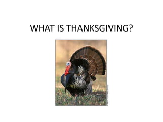 WHAT IS THANKSGIVING?

 