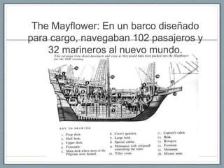 The Mayflower: En un barco diseñado 
para cargo, navegaban 102 pasajeros y 
32 marineros al nuevo mundo. 
 