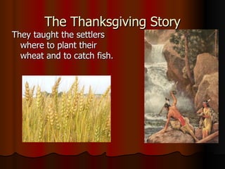 The Thanksgiving Story They taught the settlers where to plant their wheat and to catch fish.  