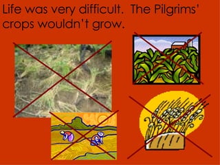 Life was very difficult.  The Pilgrims’ crops wouldn’t grow. 