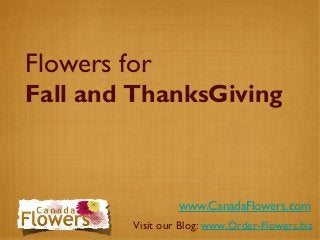 Flowers for
Fall and ThanksGiving
www.CanadaFlowers.com
Visit our Blog: www.Order-Flowers.biz
 