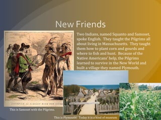 Two Indians, named Squanto and Samoset,
spoke English. They taught the Pilgrims all
about living in Massachusetts. They taught
them how to plant corn and gourds and
where to fish and hunt. Because of the
Native Americans’ help, the Pilgrims
learned to survive in the New World and
built a village they named Plymouth.
This is Samoset with the Pilgrims.
This is Plymouth! Today it is a kind of museum
 