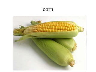 corn
 