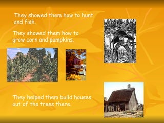 They showed them how to hunt and fish.  They helped them build houses out of the trees there.   They showed them how to grow corn and pumpkins. 
