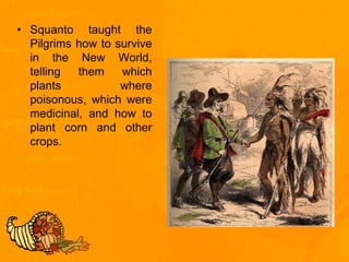 • Squanto taught the
Pilgrims how to survive
in the New World,
telling them which
plants where
poisonous, which were
medicinal, and how to
plant corn and other
crops.
 