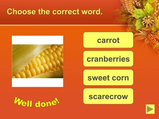 Choose the correct word.
carrot
cranberries
sweet corn
scarecrow
 