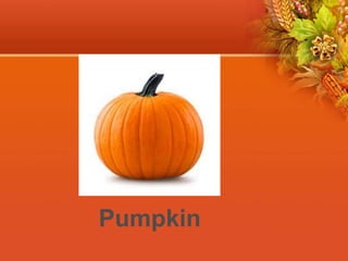 Pumpkin
 