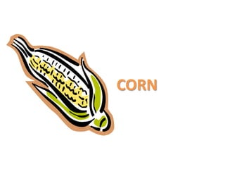 CORN