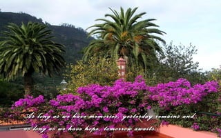 As long as we have memories, yesterday remains and
as long as we have hope, tomorrow awaits.
 