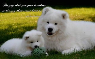 The joy that you give to others
is the joy that comes back to you.
                 John Greenleaf Whittier
 