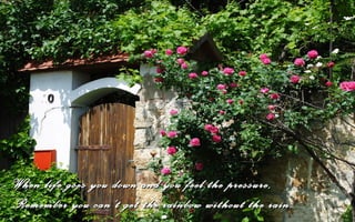 When life goes you down and you feel the pressure,
Remember you can’t get the rainbow without the rain.
 