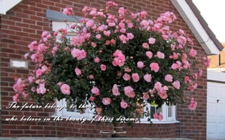 The future belongs to those
who believe in the beauty of their dreams.
                             Eleanor Roosevelt
 