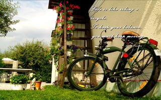 Life is like riding a
bicycle.
To keep your balance,
 you must keep moving.
             Albert Einstein
 