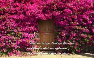 There are things that are known,
and things that are unknown,
and in between, there are doors.
 