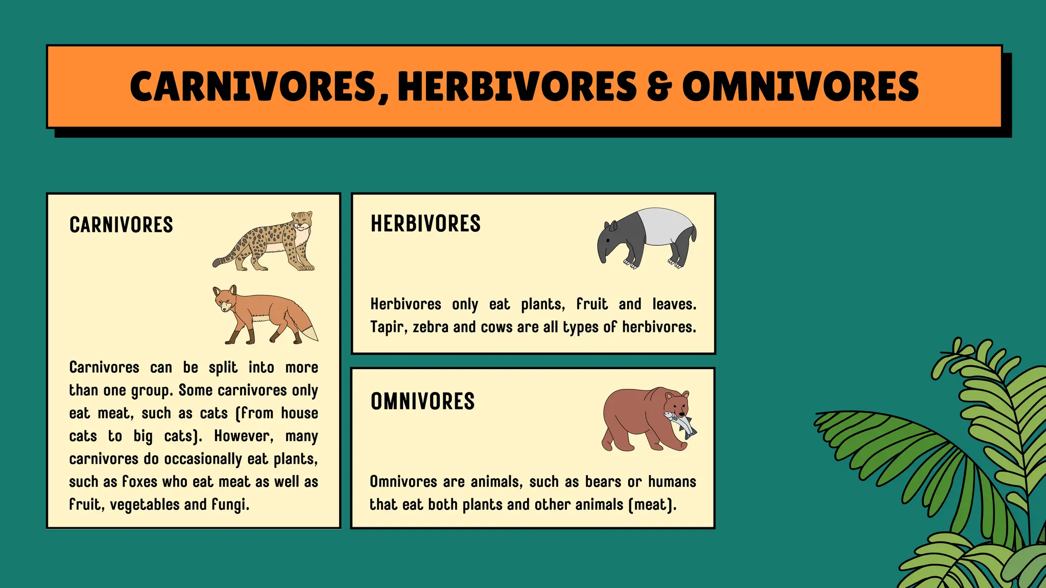 Debunking Nutrition Myths: Separating Fact from Fiction" | PDF