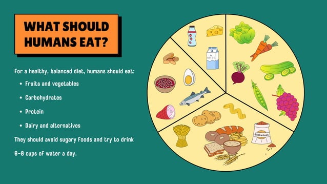 Debunking Nutrition Myths: Separating Fact from Fiction" | PDF